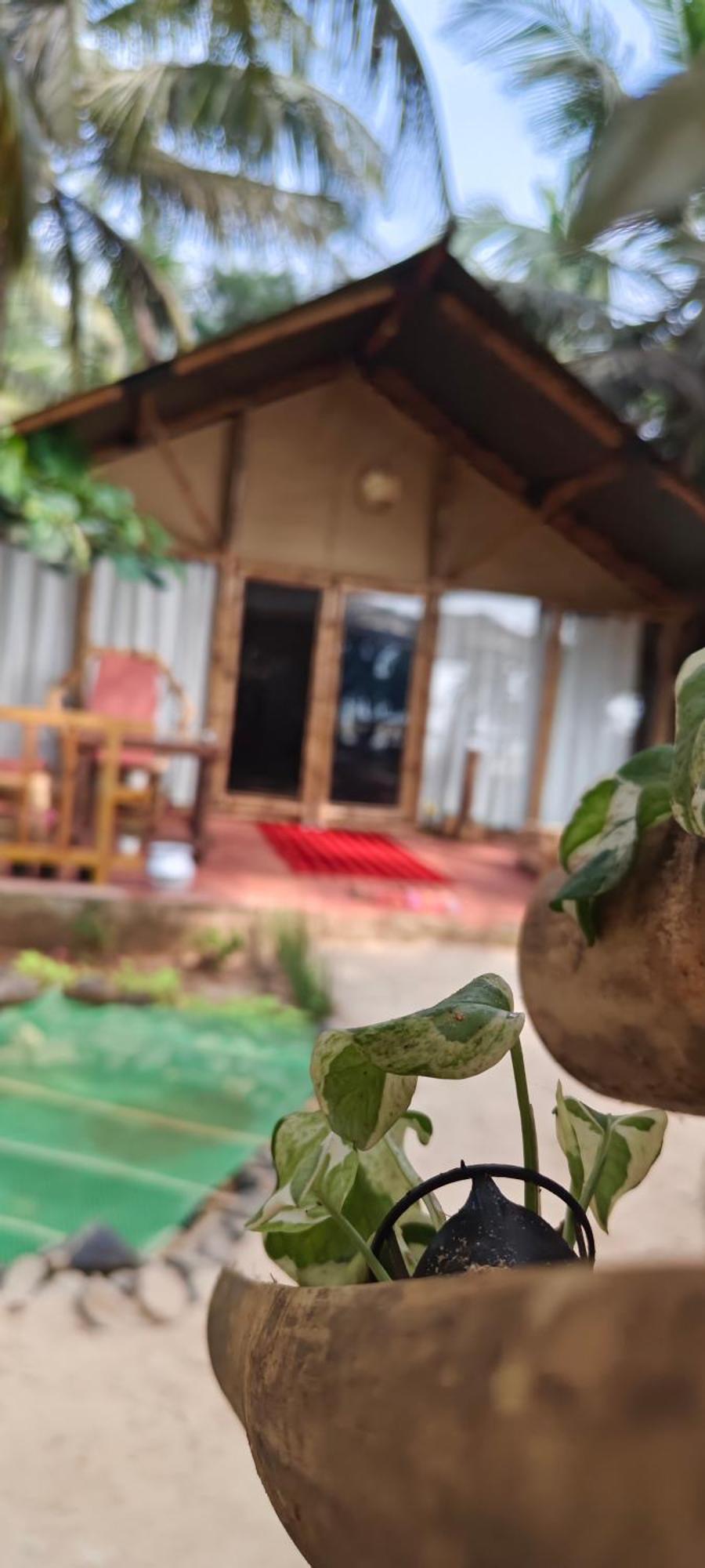 Te Amo Boutique Stays Kumta Ngoại thất bức ảnh